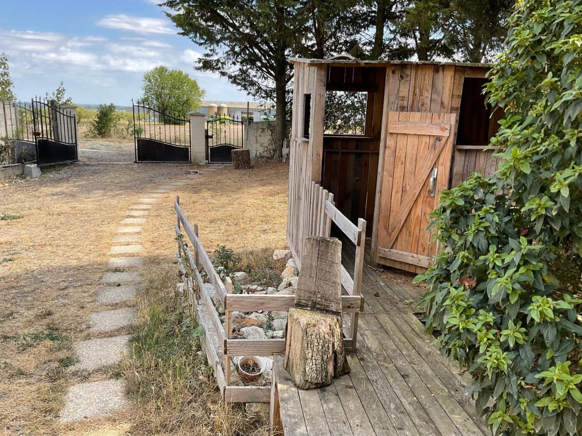 Chambres, Table D'Hotes Et Gites Les Mesanges Saint-Jean-de-Sauves Екстериор снимка